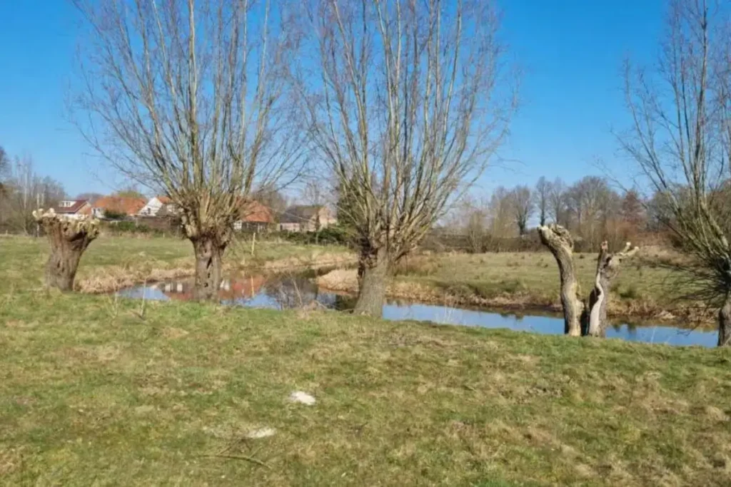 Voorjaar 2025 Aa-dal